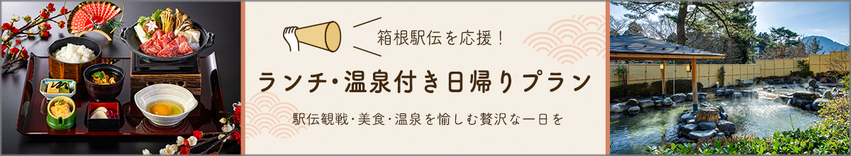 箱根駅伝日帰りプラン