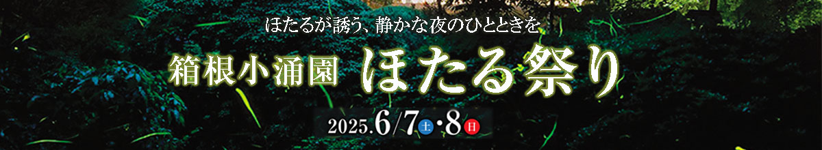 ほたる祭り
