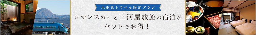 ロマンスカーセットプラン