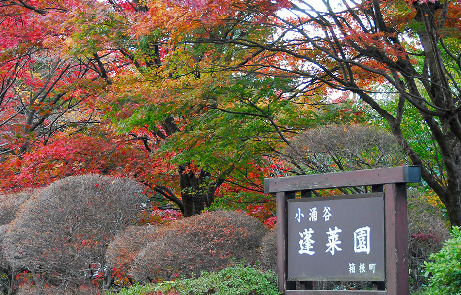 箱根の秋"