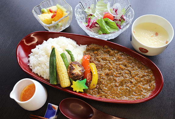 비니슨 키마 카레